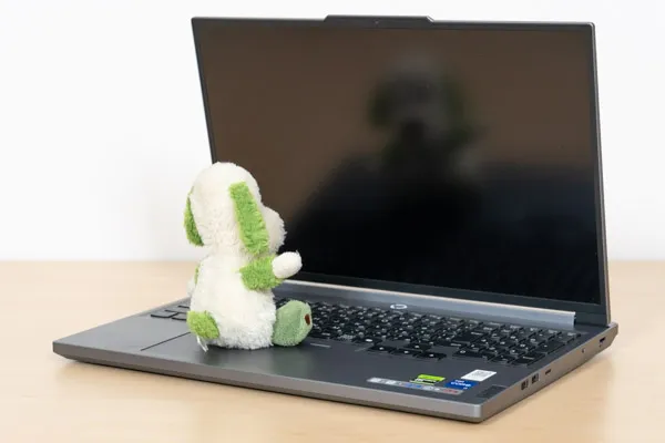 Legion 5i Gen 9 (16型 Intel)の映り込み